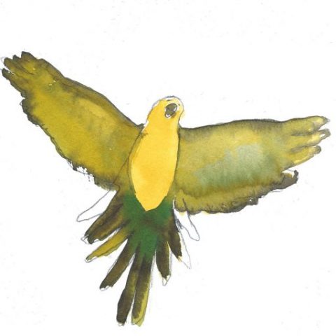 Les Oiseaux ©louisemezel