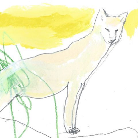 Le loup des steppes ©louisemezel