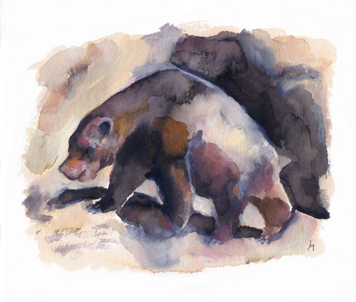 L’ours dans l’art préhistorique, Marcel er Simone 2016 ©louisemezel