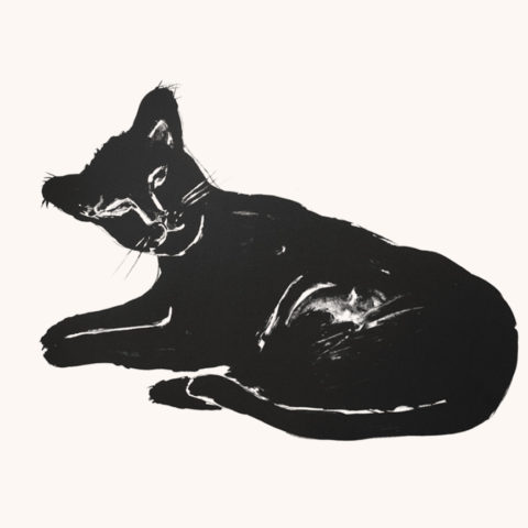 Patte noire