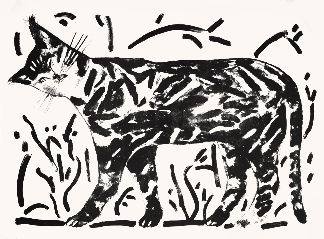 Le rabidou des steppes, 76 x 56 cm