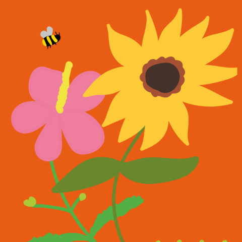summer holiday-24oct