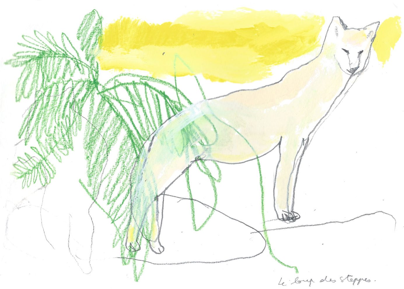 Le loup des steppes, acrylique et crayon, 2016