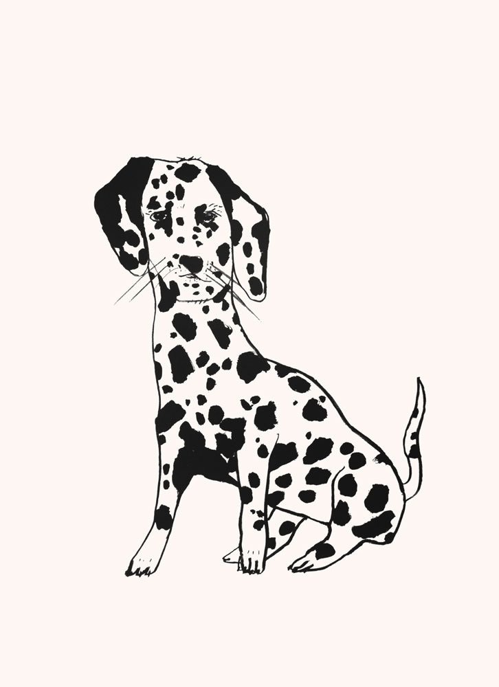 Dalmatien3