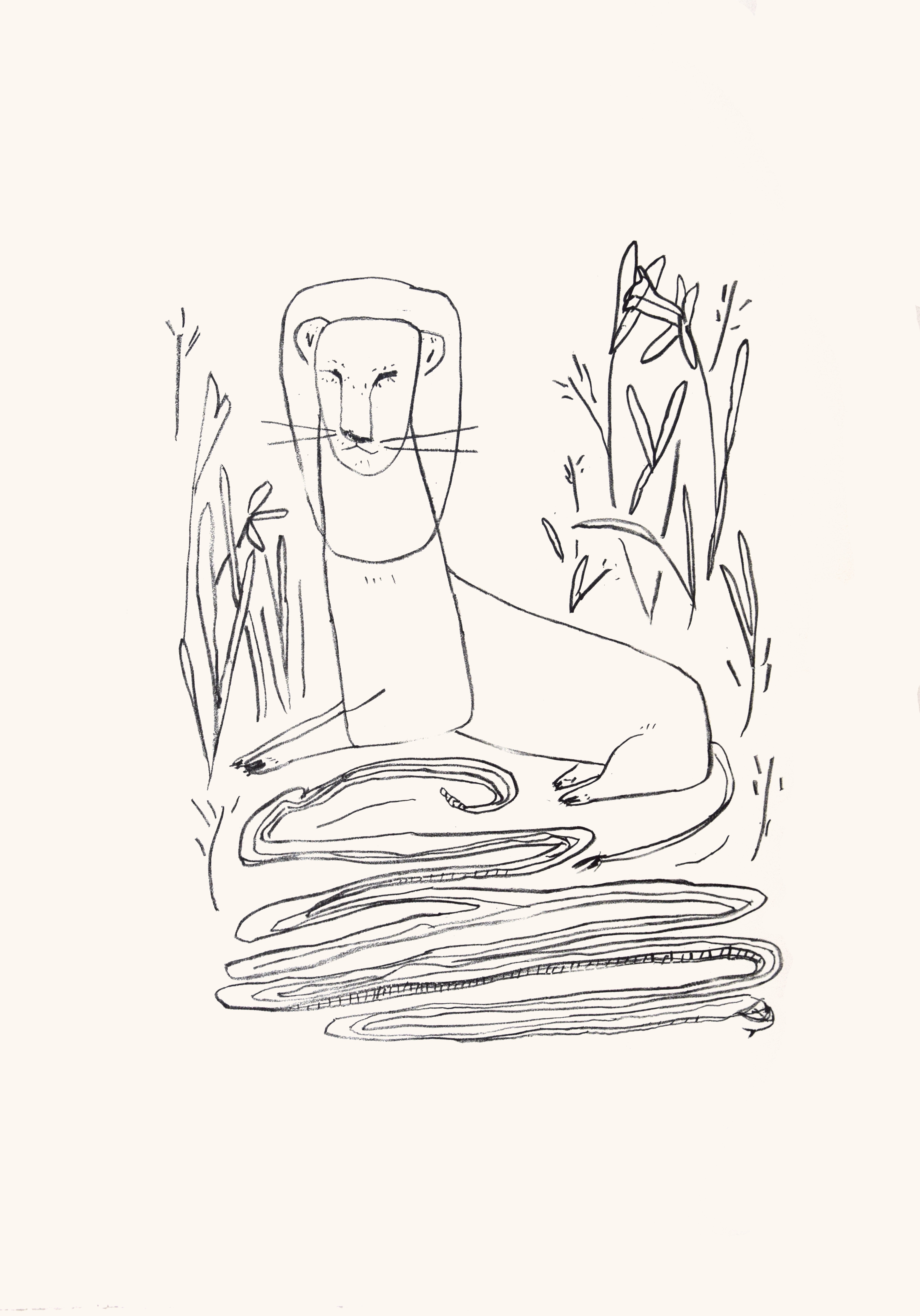 Le lion protecteur, 56 x 76 cm 
