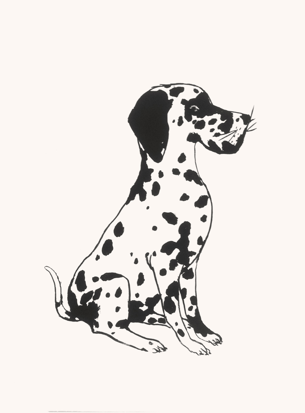 Le deuxième dalmatien, 56 x 76 cm