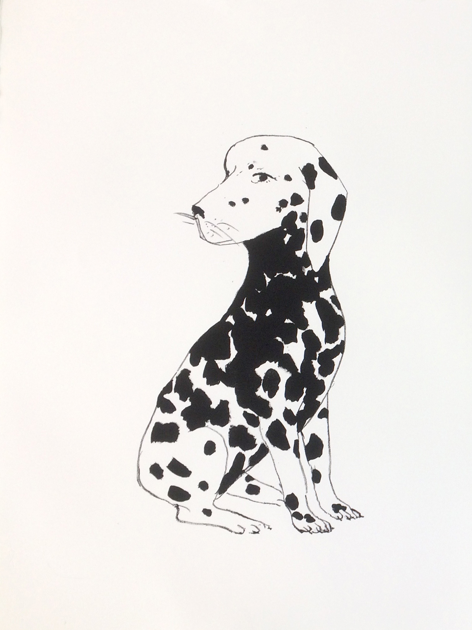 Le quatrième  dalmatien, 56 x 76 cm