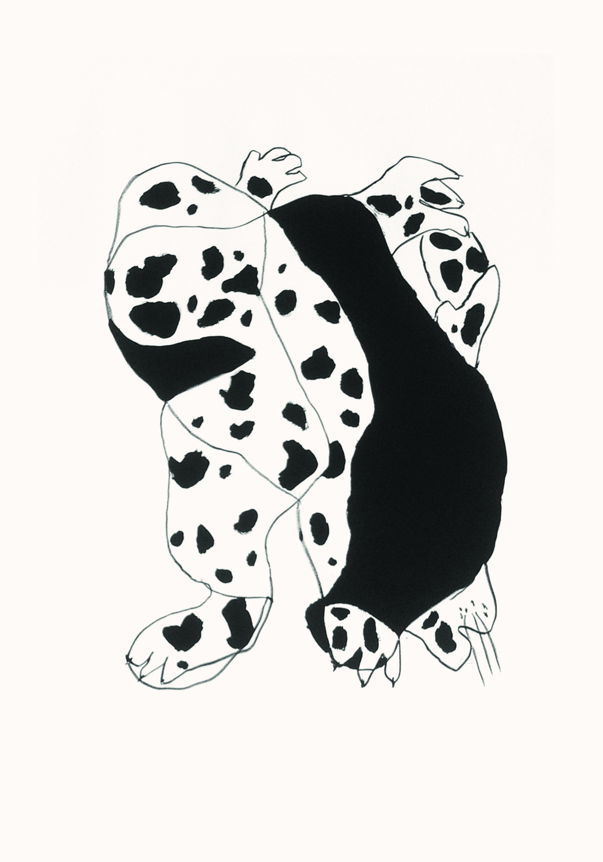 Formes de Dalmatien, 56 x 76 cm 