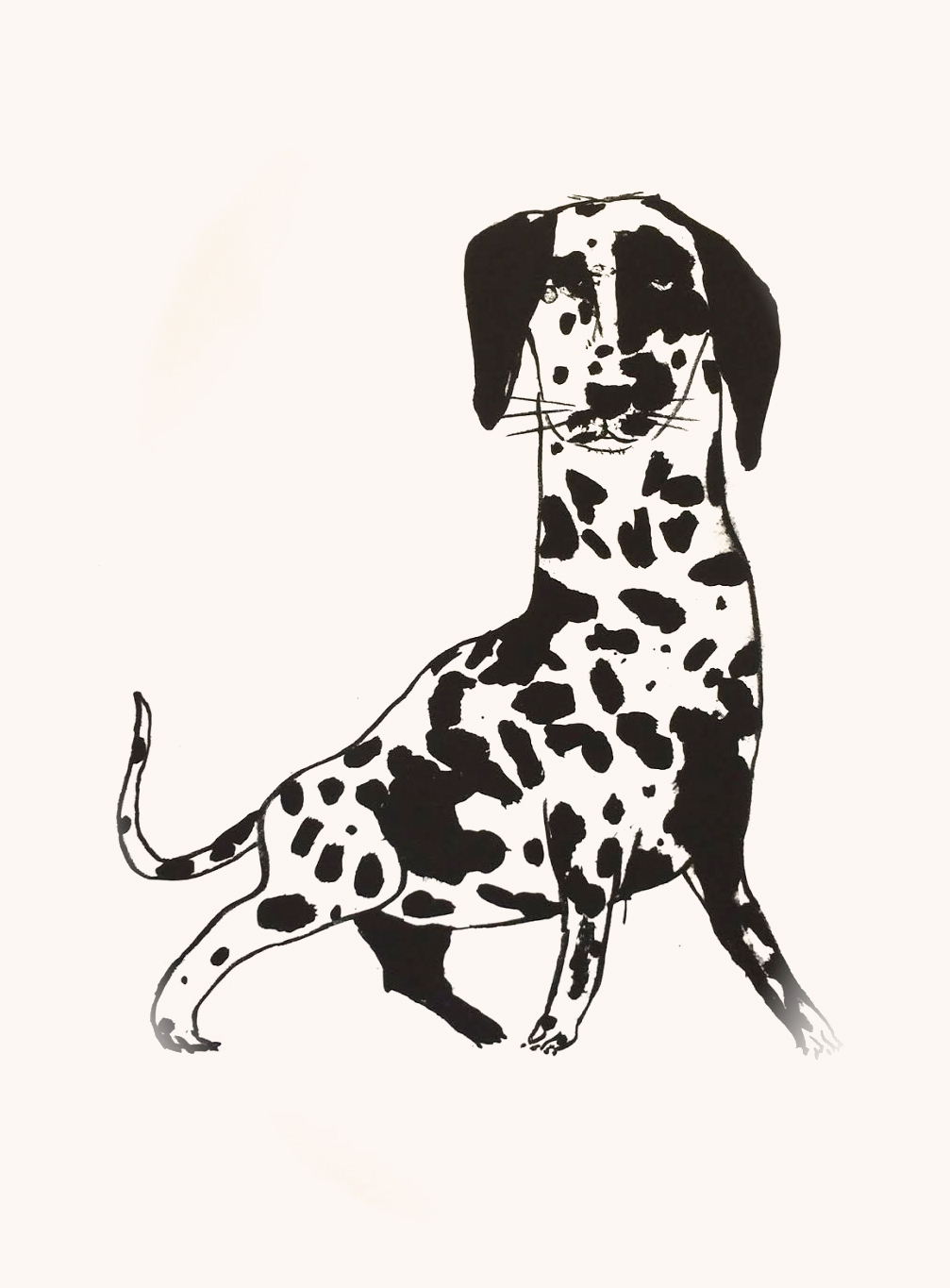 Le premier dalmatien, 56 x 76 cm 