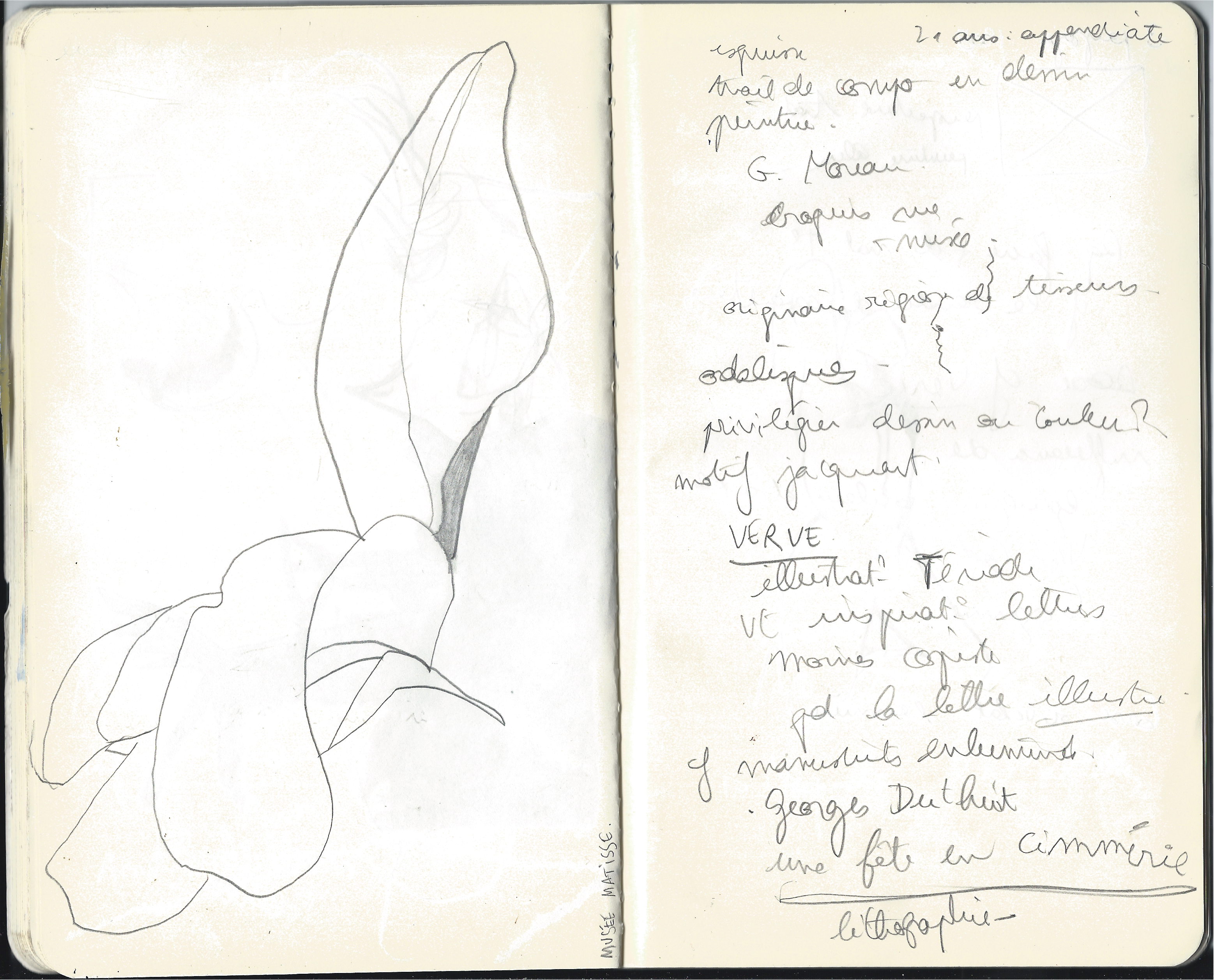 matisse