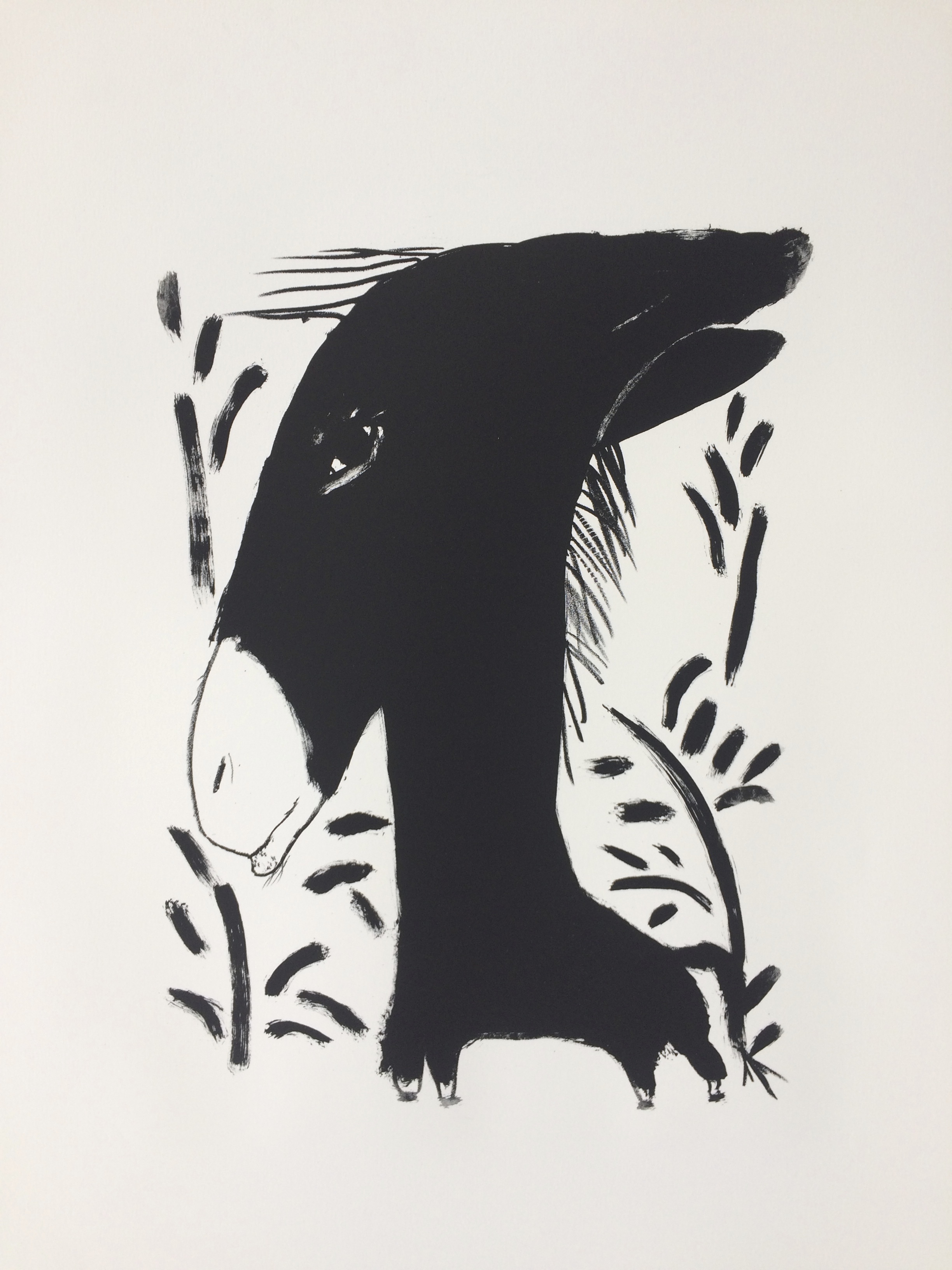 L'âne, 56 x 76 cm 