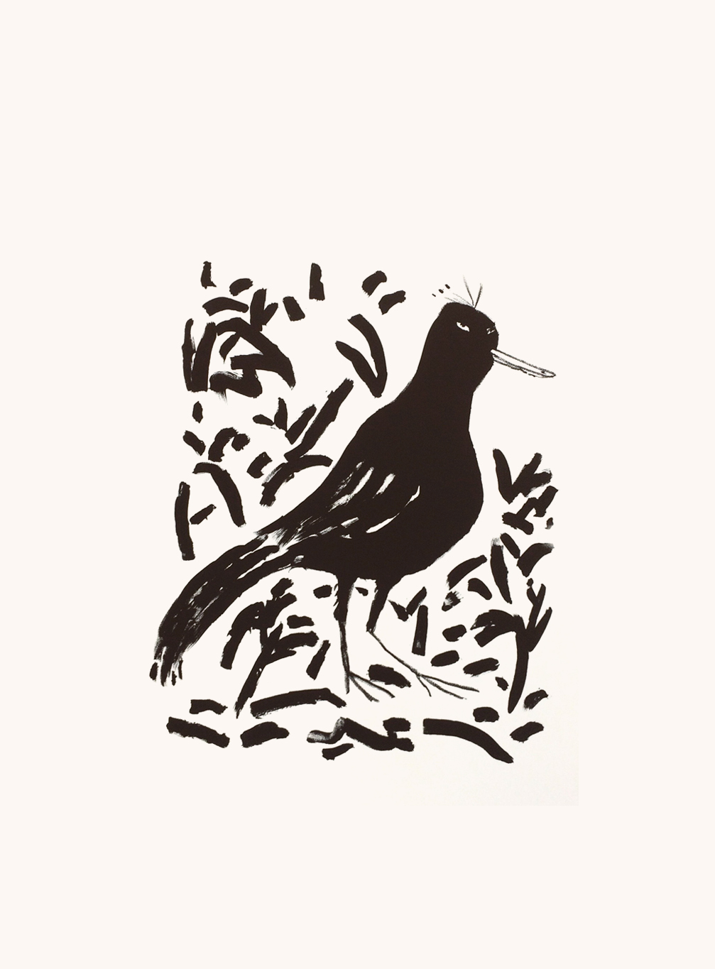 L'oiseau rare, 56 x 76 cm 